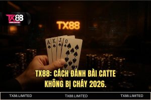 Cách đánh bài Catte không bị cháy tại TX88: Chiến thuật của kẻ thống trị